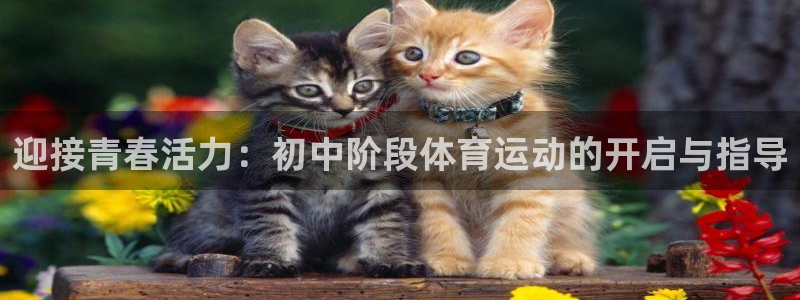 米兰体育app