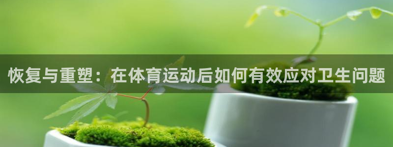 米兰体育网站