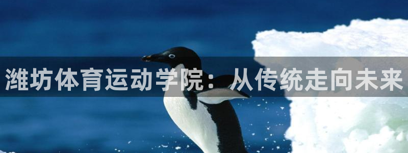 米兰体育在线