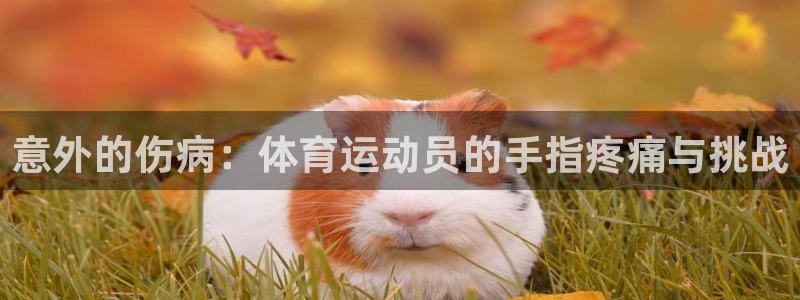 米兰体育app